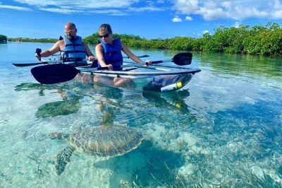 Feel the quiet of mangrove cay by clear kayak, spot turtles and baby sharks, and visit iguana island with a local guide. includes all fees and bottled water.
