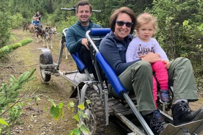Découvrez les chiens de traîneau champions à willow, alaska. balade en forêt, visite du chenil, vues sur le denali, tout l’équipement fourni, et même des cookies maison.