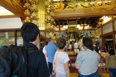 Tour dal porto di Shimizu: Vista sul Monte Fuji, campi di tè, tempio