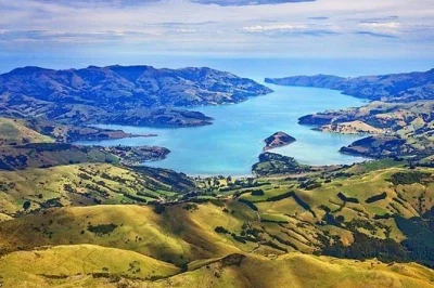 Akaroa erleben: delfine im hafen entdecken, durch das französische dorf schlendern und lokalen käse probieren – inkl. abholung & optionalem mittagessen.