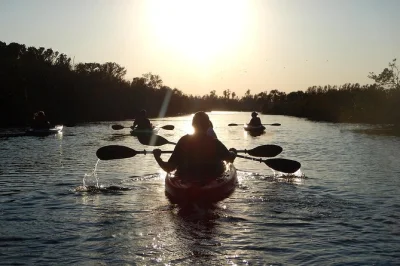 Drift with manatees, watch birds at bird island, and paddle through glowing bioluminescence near titusville. includes kayak, guide, and all gear.
