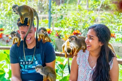 Feed squirrel monkeys in monkeyland, meet locals at a countryside home, and sample fresh coffee on this puerto plata tour with pickup and wheelchair access.