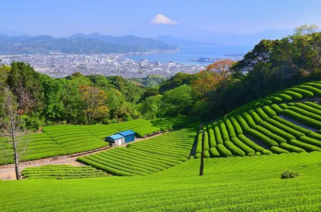 Santuario Kunozan Toshogu e Nihondaira da Shizuoka