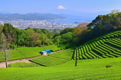 Santuario Kunozan Toshogu e Nihondaira da Shizuoka