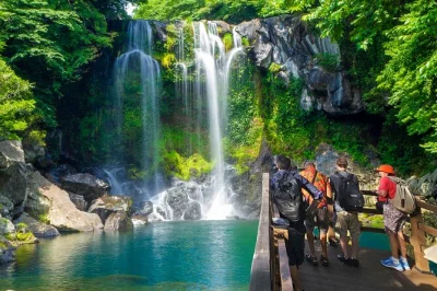 Feel jeju’s wild coast, tea fields, & waterfalls in one day. includes pickup, licensed guide, vegetarian lunch, and all entry fees. book your jeju adventure today.
