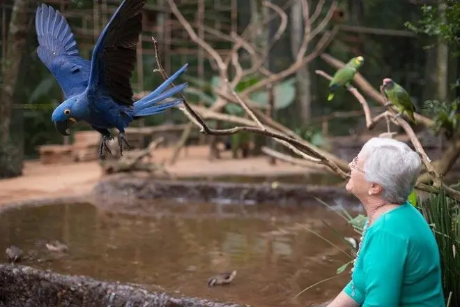 Diga di Itaipu e cascate di Iguazu da Puerto Iguazu