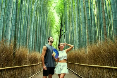 Explore a floresta de bambu de arashiyama em kyoto, prove matcha autêntico e conheça macacos selvagens com guia local—entrada e matcha inclusos para um dia tranquilo.