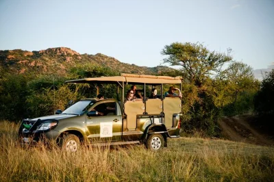 Feel the early chill as you set out from johannesburg for pilanesberg. two open-vehicle game drives, lunch by a waterhole, and hotel pickup included for a seamless day.