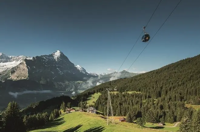Grindelwald First Ziplining: First Flyer & Cliff Walk