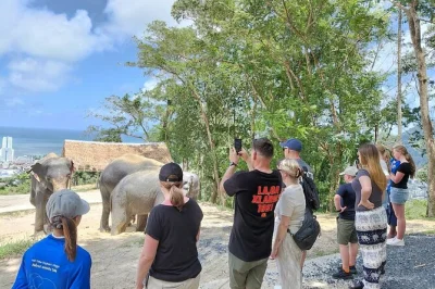 Meet rescued elephants in phuket’s forest sanctuary, walk natural trails, feed them by hand, and enjoy lunch—small group tour with pickup included.
