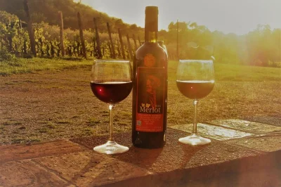 Scopri lucca in e-bike lungo le sue mura, poi immergiti nei vigneti toscani per una degustazione di vini e prodotti locali con guida e attrezzatura inclusa. prenota ora.