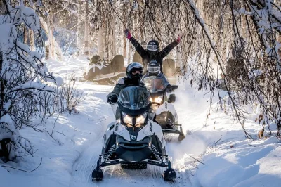 Feel the rush of a guided snowmobile tour near fairbanks, crossing the alaska pipeline and snowy forests. includes heated gear, local guide, and wildlife spotting.