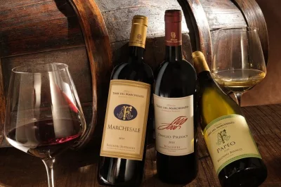 Sip doc bolgheri wines among vineyards near bolgheri, tour historic cellars, and taste with tuscan olive oil bread. includes english or italian guide and wine tasting.