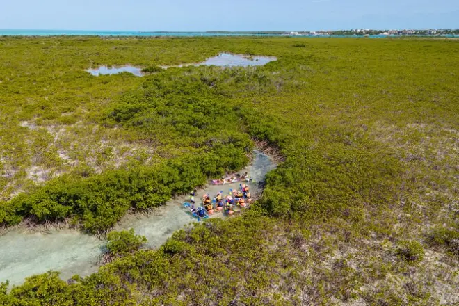 Mangrove Kayaking in Providenciales: Clear Water & Marine Life