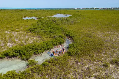 Caiaque nas manguezais de Providenciales: Água clara e vida marinha