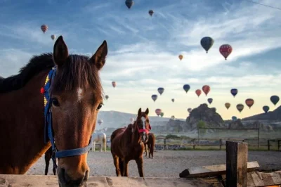 Erlebe die stille magie kappadokiens hoch zu ross – vorbei an feenkaminen, mit blick auf ballons im sonnenaufgang oder die farben des sonnenuntergangs. inkl. hoteltransfer & lokaler guide.