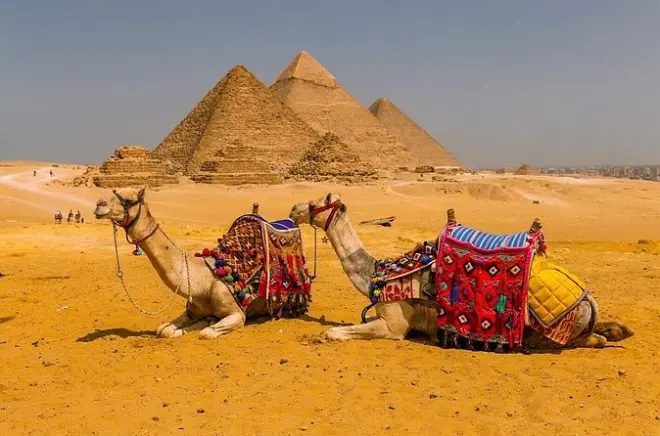 Visite privée des pyramides de Gizeh et musée égyptien d'Alexandrie