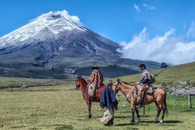 Feel the wild side of cotopaxi with a horseback ride inside the park, a high-altitude hike to base camp, and entry via a quiet local route. includes pickup.