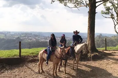 Passeggiata a cavallo a Salento con viste e accesso alla tenuta