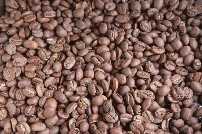 Coffee Roasting Class in Boquete: Roast & Take Home Fresh Beans