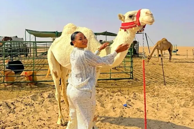 Kuwait City: Monumenti, deserto e souk con servizio pick-up