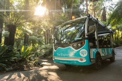 Entdecke melbournes royal botanic gardens bei einer offenen minibus-tour mit live-kommentar, spannenden geschichten und bequemer abholung – barrierefrei & familienfreundlich.