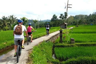 Découvrez ubud à vélo électrique entre rizières, villages typiques et pause café. prise en charge à l’hôtel, guide local et déjeuner balinais inclus.