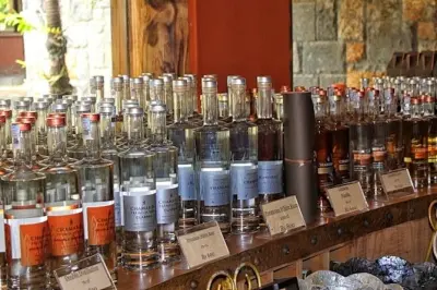 Chamarel Private Tour: 7-Coloured Earth, Rum Tasting & Lunch