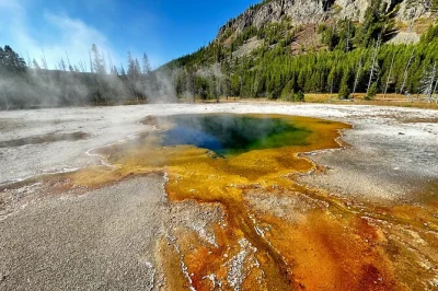 Feel the heat of geysers, watch bison roam hayden valley, and catch old faithful’s eruption on a full-day yellowstone lower loop tour with lunch and hotel pickup.