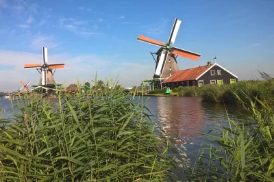 Step into dutch countryside life at zaanse schans with windmill visits, cheese tasting, and a live clog-making demo. includes transfers and local guide.