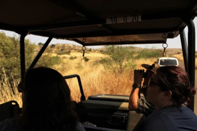 Feel the thrill of pilanesberg’s wildlife on a full-day open vehicle safari from johannesburg or pretoria, with hotel pickup, lunch at a watering hole, and expert local guides.