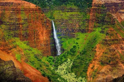 Erlebe kauais wilde seite bei einem tagesausflug zum waimea canyon, wandere auf koke'e pfaden, probiere frischen kaffee der kauai coffee company und genieße den hoteltransfer.