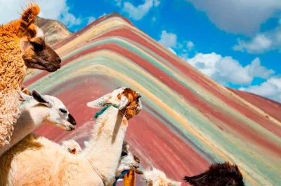 Wake up before sunrise for a private rainbow mountain hike from cusco, with coca ceremony, local guide, and traditional breakfast and lunch included.