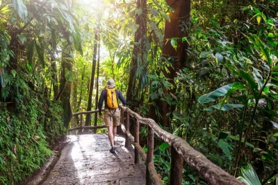 Leave bangkok’s buzz behind for a day in khao yai—hike jungle trails, spot wild elephants, and see famous waterfalls. includes pickup, tickets, and local guide.