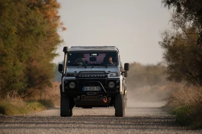 Feel the wild spirit of camargue on a 4x4 safari from arles, spotting white horses, black bulls, birds and stopping in saintes maries de la mer. includes guide.