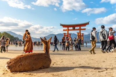 Feel the quiet power of hiroshima’s peace memorial, ferry to miyajima island for itsukushima shrine, and wander old streets with a local guide—all in one day.