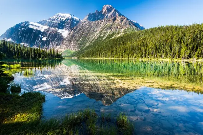 3-hour guided nature walk in Jasper National Park