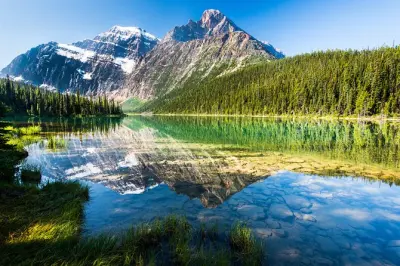 Caminhada guiada de 3 horas pela natureza no Parque Nacional Jasper