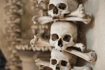 Step inside kutná hora’s bone chapel, wander medieval streets, and catch the train from prague with a local guide—transportation and stories included.