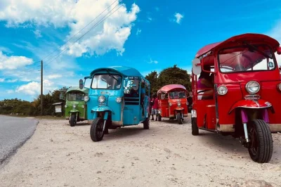 Feel the breeze on antigua’s fig tree drive by tuk-tuk, meet local fruit vendors, and relax at three white sand beaches. includes snacks and island fruit punch.