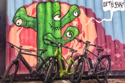 Feel the buzz of austin on an electric bike tour—see iconic murals, cruise south congress, and pause for a local snack. includes e-bike, helmet, water, and guide.
