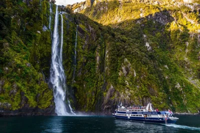 Milford sound erleben: nebel, gletscherfelsen hautnah, flexible abfahrtszeiten und unkomplizierte anmeldung. inklusive landungsgebühren und erfahrenem team vor ort.