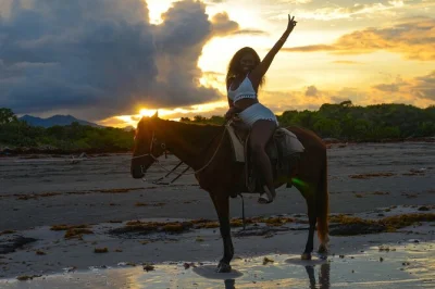 Feel the ocean breeze on a sunset horseback ride in punta cana. includes private guide, round-trip pickup, and local coffee & mama juana tasting.
