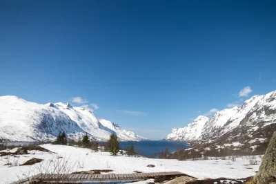 Descubre los fiordos de tromsø en una excursión guiada con avistamiento de fauna, consejos de fotografía profesional y un almuerzo junto al mar—incluye fotos y recogida.