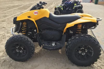 Scopri il deserto del qatar guidando il tuo atv per un’ora. include trasferimento dall’hotel, attrezzatura di sicurezza e bevande. perfetto per chi cerca emozioni a doha.