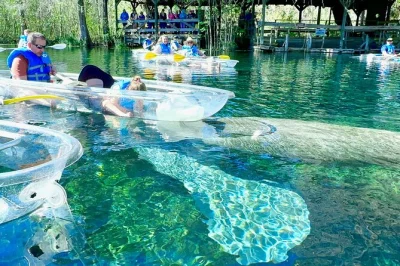 Découvrez les eaux limpides de silver springs, observez lamantins et singes, et écoutez des histoires locales lors d’une balade en petit groupe en kayak ou paddle—matériel inclus, réservation 
