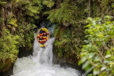 Feel the rush of kaituna river whitewater rafting in rotorua, drop tutea falls, hear māori river stories, with hotel pickup and pro photos included.