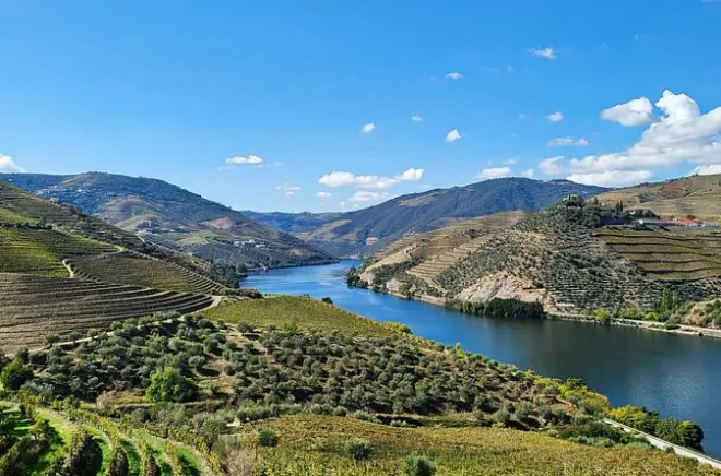 Private Douro Valley Tour: 2 wineries & boat trip