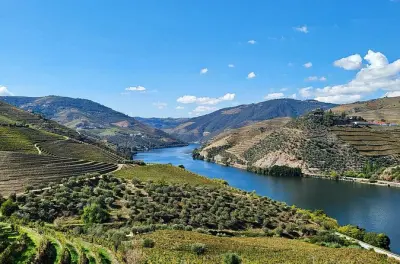 Vallée du Douro privée : 2 domaines et balade en bateau