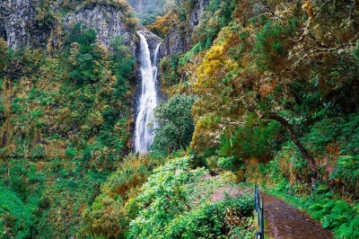 Scopri le cascate di rabaçal, cammina lungo le levadas da funchal con transfer incluso e attraversa il tunnel dell’acqua in questa escursione guidata di un’intera giornata.